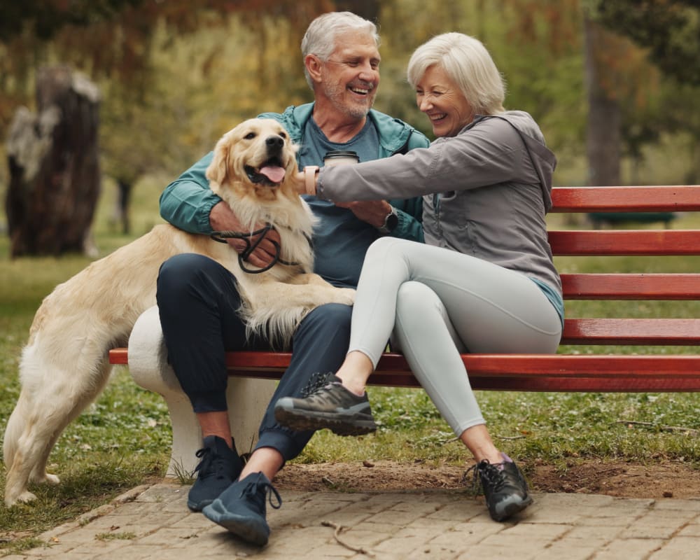 An older couple and their Golden Retriever dog sit on a bench in a park.